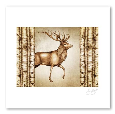 Red Buck, 11X14 Unframed Prints by Laura Zindel Design