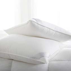 Bergen Down Free White Pillow by Scandia Home
