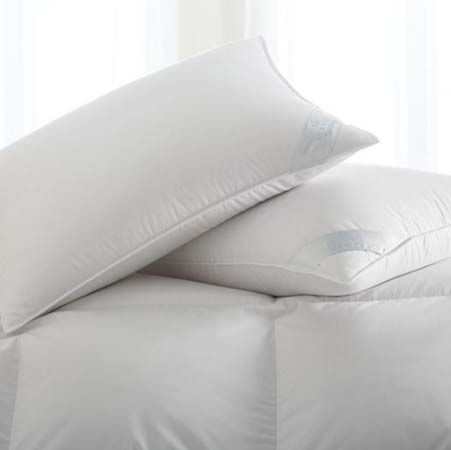 Salzburg Polish White Goose Down Pillow by Scandia Home