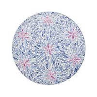 Kim Seybert - Flora Placemat - Set of 4