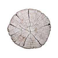 Kim Seybert - Birch Placemat in Ivory & Natural - Set of 4