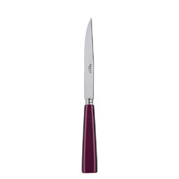 Sabre Paris - Icone (a.k.a. Natura) Steak Knife