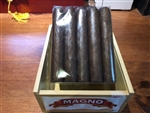 Magno Aegis Robusto