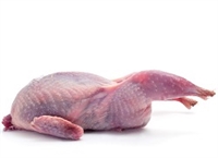 Quail, meat is very lean, rich in color, with a delicate game flavor. Raised in a free-range environment on natural, wholesome grains, they marinate very well, and should be cooked quickly over high heat either grilling, broiling, or sautÃ©ing.