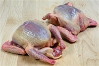 Dressed for market 4 weeks after hatching, the meat of a Squab is distinctly unlike domestic poultry or wild game birds. Dark, moist and flavorful, each bird is prepared for market before it is old enough to fly. Dark, moist, flavorful and Powerful Meat.