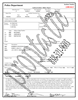 Police Incident Report Paperwork Instant Download 2 Pages