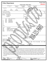 Police Incident Report Paperwork Instant Download 2 Pages