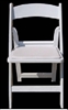 Lowest prices RESIN CHAIRS, RESIN Wisconsin FOLDING CHAIRS,