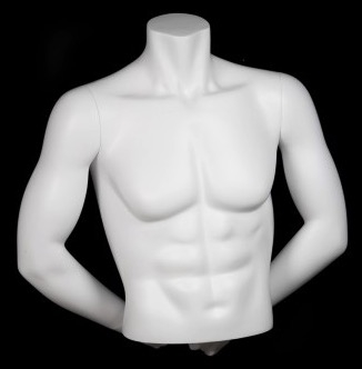 HEADLESS MALE MATTE WHITE FREESTANDING 1/2 TORSO FORM WITH ARMS