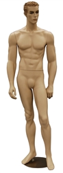 Realistic Athletic Male Mannequin with Molded Hair