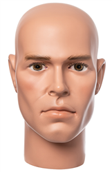 Sergeant Major Jackson - Hyper Realistic Male Display Head with Brown Eyes