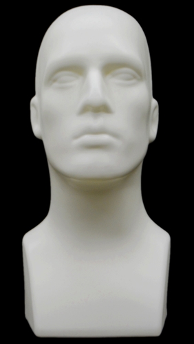 Display Head Form