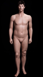 Realistic Fiberglass Male Mannequin from www.zingdisplay.com.  Standing pose with arms at his side