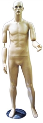 Male Mannequin with Flexible Elbows - Fleshtone