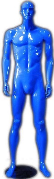 Glossy Blue Adult Male Fiberglass popular Mannequin Display Head with Facial Features and Ears #ERABLUE