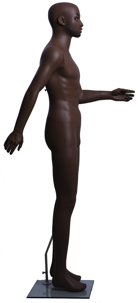 African American Male Mannequin with Molded Hair