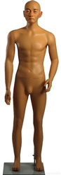 Asian Male Mannequin 5'6" tall