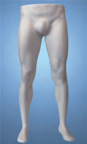 Heavy Duty Unbreakable Male Pant Form - White