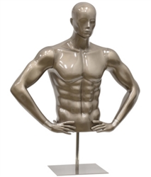 Athletic Torso Male Half Form with base in Gloss Bronze