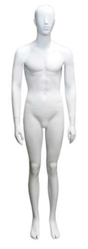 6'3" Male Abstract Head Mannequin