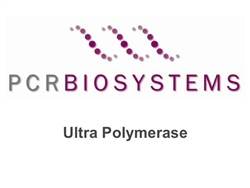 PB10.31-02 PCR Biosystems PCRBio Ultra Polymerase