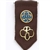 Brownie Insignia Tab