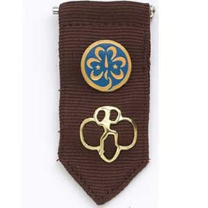 Brownie Insignia Tab