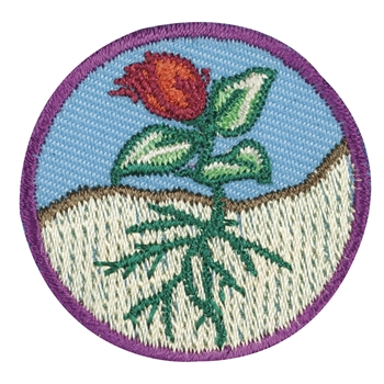Junior - Flowers Badge