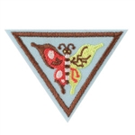 Brownie - Create and Innovate Badge