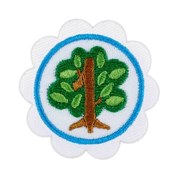 Daisy - Shapes in Nature Badge