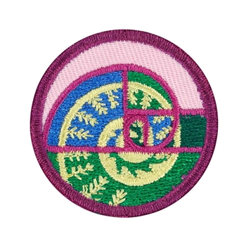 Junior - Shapes in Nature Badge