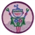 Junior - Showcasing Robots Badge