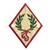 Cadette - Good Sportsmanship Badge