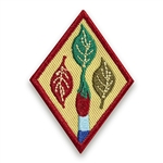 Cadette - Outdoor Art Apprentice Badge