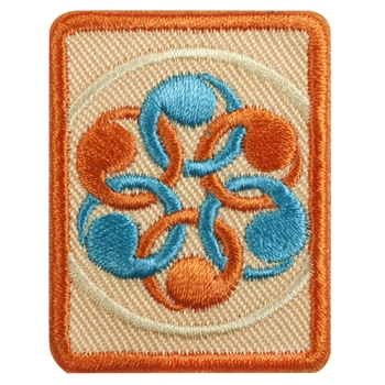 Senior - Social Innovator Badge