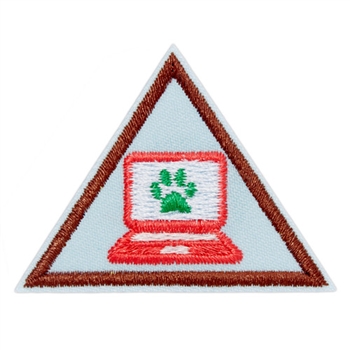 Brownie - Cybersecurity Safeguards Badge