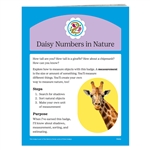 Daisy Numbers in Nature Badge Requirements