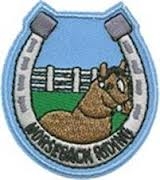 Horseback Riding Fun Patch