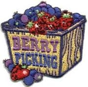 Berry Picking (box) Sew-on Fun Patch