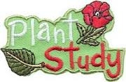 Plant Study Sew-On Fun Patch