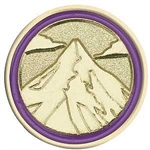 Junior Journey Summit Award Pin