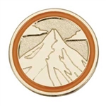 Senior Journey Summit Award Pin