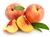 AR Peach (PG) DIY Flavoring