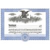 Short Form Blue Stock Certificate