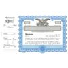 Goes 6388 Corporation Stock Certificate