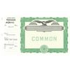 Goes 512 Blank Common Shares Stock Certificate