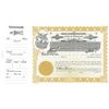 Goes 90 Colorado Stock Certificate