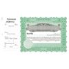 Goes 133 Stock Certificate