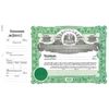 Goes 193 1/2 Louisiana Stock Certificate