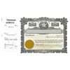 Goes 265 Texas Stock Certificate